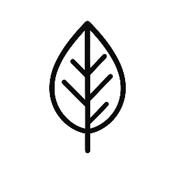 Living Plant Based Life